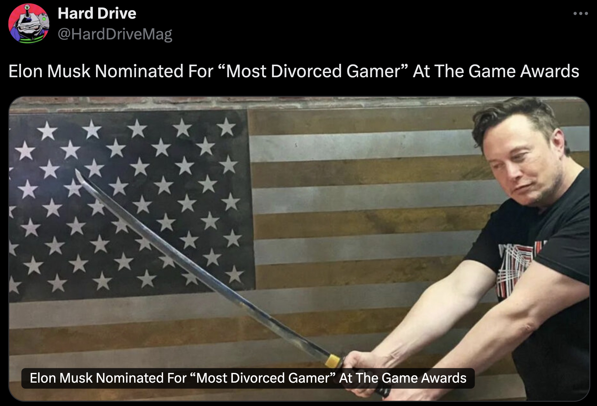 elon musk neckbeard - Hard Drive B Elon Musk Nominated For "Most Divorced Gamer" At The Game Awards Elon Musk Nominated For "Most Divorced Gamer" At The Game Awards